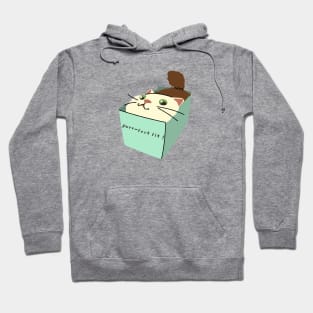 cat in a box Hoodie